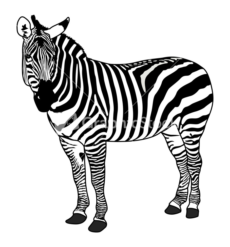 zebra silhouette clip art - photo #34