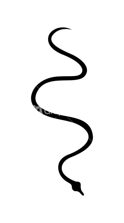 Crawling Snake Silhouette Vector Stock Image