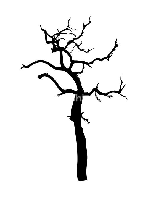 Dead Tree Shape Vector Stock Image