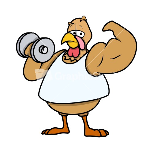 Muscular Turkey Bird Stock Image