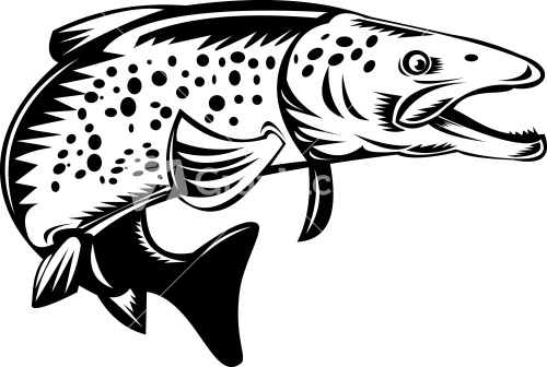 Trout Fish Silhouette Retro